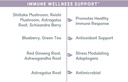 balanced-vibe-immune-system-stress-suppo-3.jpg