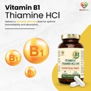 vitamin-b1-thiamine-hcl-high-potency-ene-61z6aPth+AL.jpg