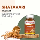 baidyanath-ayurved-shatavari-tablets-60--7177ZR7U2rL.jpg