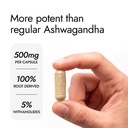 kapiva-ashwagandha-gold-capsules-183rd-d-61PFoxA5qwL.jpg