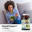 bio-krauter-lung-detox-tincture-2-fl-oz--6.jpg