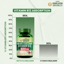 vlado-s-himalayan-organics-vitamin-b12-s-61Z1w6mfUXL.jpg