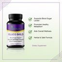 gluco-shild-ayurvedic-blood-sugar-contro-610uqRAP8TL.jpg