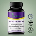gluco-shild-ayurvedic-blood-sugar-contro-61w84qfyHCL.jpg