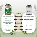 baidyanath-ayurved-tulsi-tablets-120-tab-71zAZuRN7NL.jpg