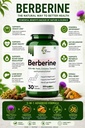 berberine-with-milk-thistle-cinnamon-tur-71ayLKOOebL.jpg