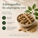theia-organics-ashwagandha-powder-hot-ch-71UOLP6WndL.jpg