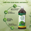 baidyanath-ayurved-neem-karela-jamun-jui-71goZsvDdaL.jpg