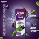 baidyanath-premium-karela-jamun-juice-1l-61j-GVwjuLL.jpg