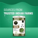 online-quality-store-stevia-leaves-100g-71r2nA6WIbL.jpg
