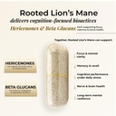 rooted-active-s-lion-s-mane-mushroom-for-61AFJH7SQqL.jpg
