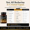 berberine-hcl-500mg-97-berberis-aristata-714fuXtqK5L.jpg
