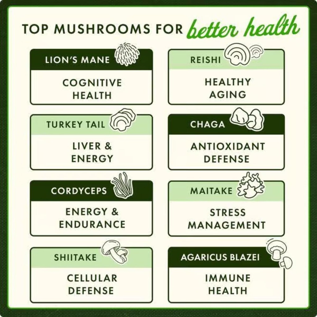 swanson-herbs-turkey-tail-mushroom-500mg-61sbf+0gBhL.jpg