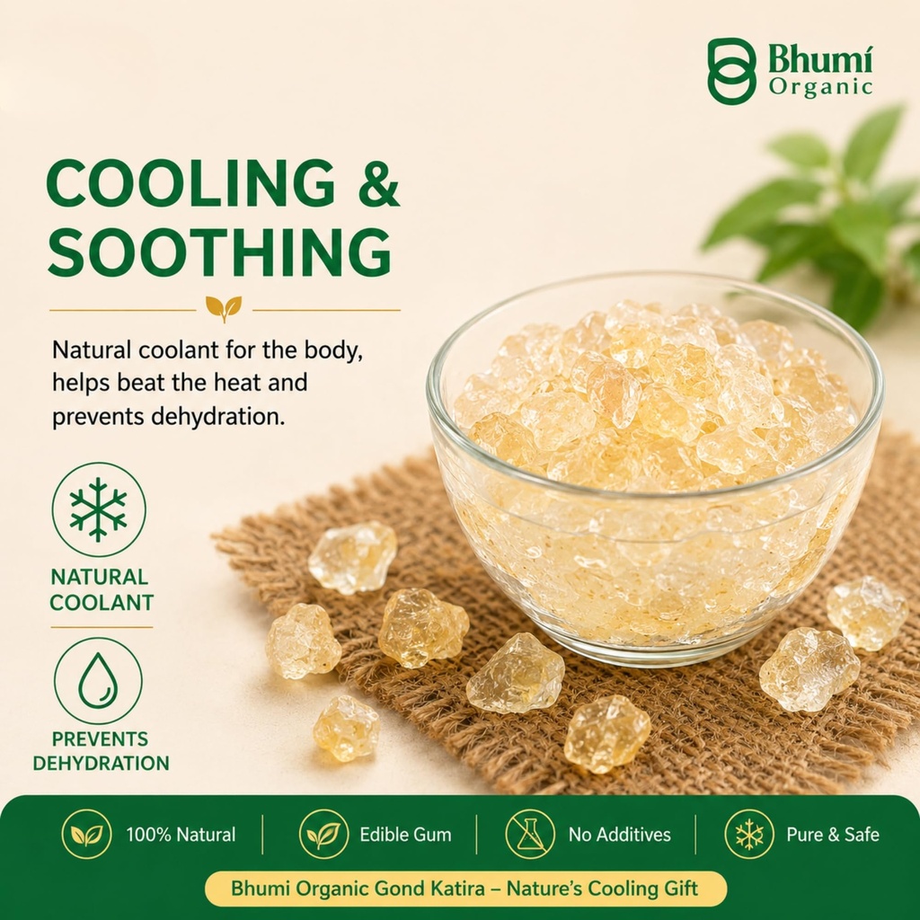 bhumi-organic-gond-katira-tragacanth-gum-81-+TEtBIZL.jpg