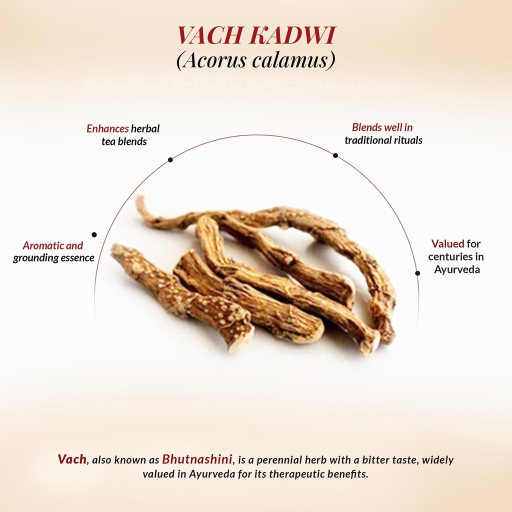vach-root-acorus-calamus-100g-whole-vach-71ieH67+BfL.jpg