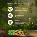 vahdam-moringa-tulsi-green-tea-36-tb-sup-81unonIuJ2L.jpg
