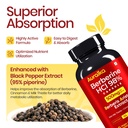 berberine-hcl-500mg-capsules-berberine-s-81XzLcJqF+L.jpg