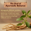 baidyanath-ayurved-ashwagandha-60-tablet-71uJ6+dS+kL.jpg