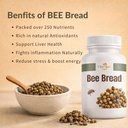 bee-bread-organic-protein-rich-super-foo-81xE6iTBl4L.jpg