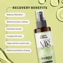 salted-wellness-magnesium-spray-pure-mag-61gp--Hm86L.jpg