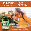 vlado-s-himalayan-organics-garlic-500mg--61RS3OENs9L.jpg