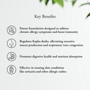 sitaram-ayurveda-allerkhand-herbal-ayurv-71354aCGV1L.jpg