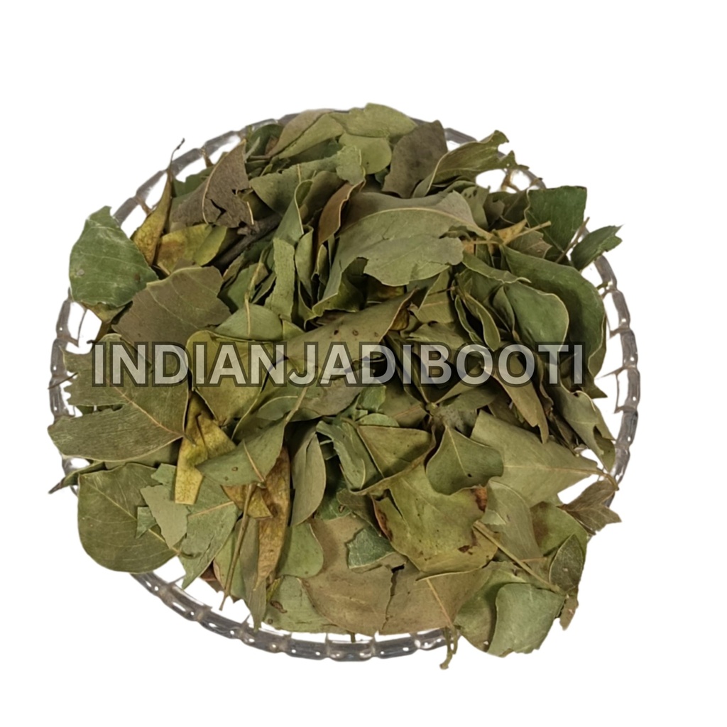 indianjadibooti-pure-shisham-leaves-shee-816qVrDvnyL.jpg