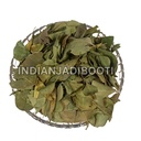 indianjadibooti-pure-shisham-leaves-shee-816qVrDvnyL.jpg