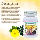 planet-ayurveda-tribulus-power-herbal-su-81M1eNkxXoL.jpg