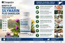 trexgenics-silymarin-plus-2x-liver-care--71JG7pr2czL.jpg