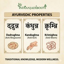 indianjadibooti-puwar-seeds-cassia-tora--81dQyMRlRmL.jpg