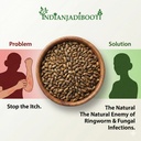 indianjadibooti-puwar-seeds-cassia-tora--81hkHflYPIL.jpg