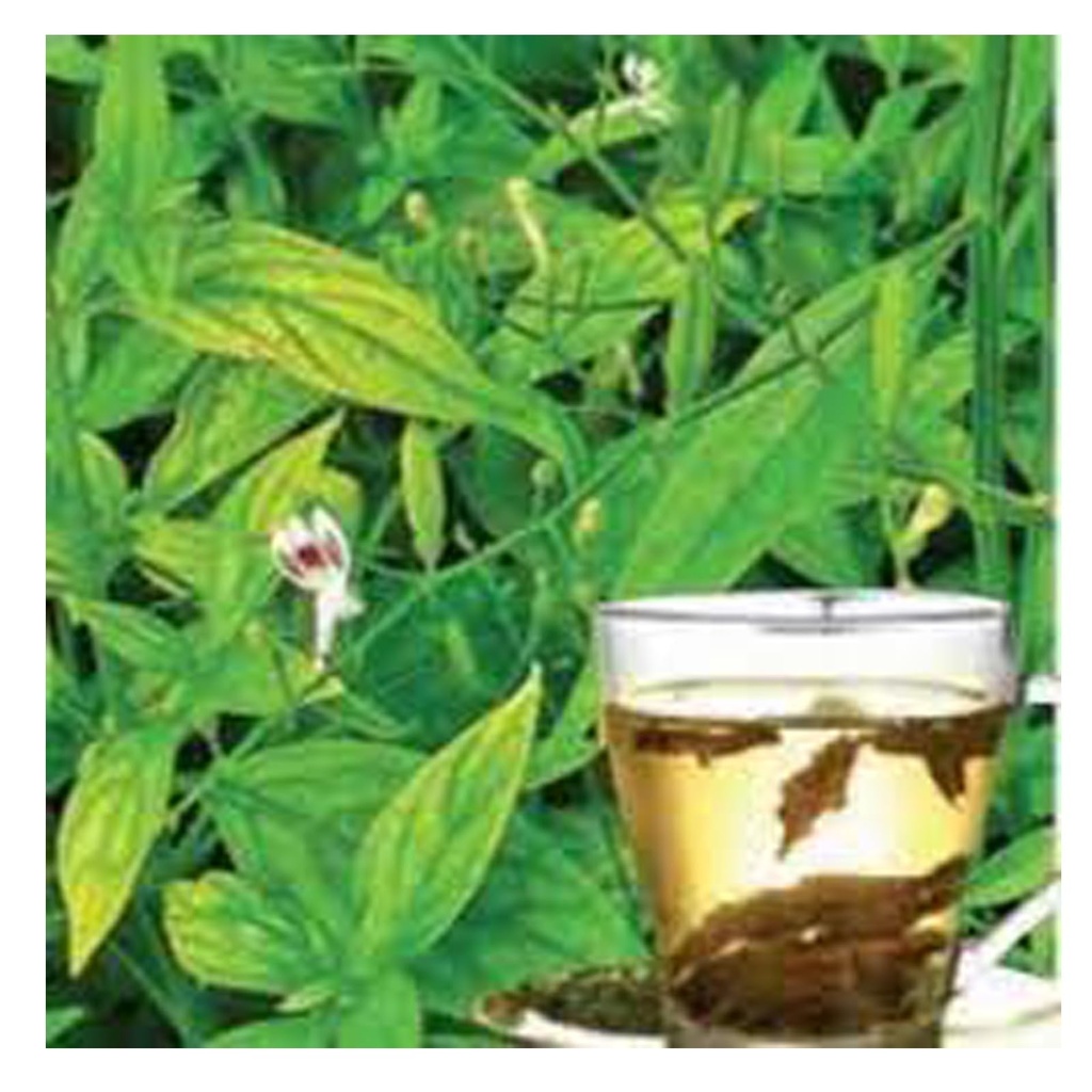 iagrifarm-kalmegh-dried-leaves-250-gram--712x-vHAbbL.jpg
