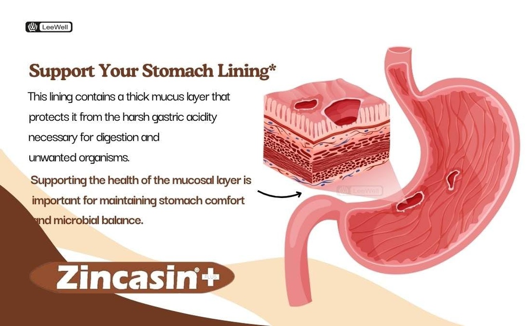 zincasin-plus-by-leewell-zinc-l-carnosin-61mrtDY0AYL.jpg