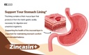 zincasin-plus-by-leewell-zinc-l-carnosin-61mrtDY0AYL.jpg