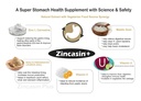 zincasin-plus-by-leewell-zinc-l-carnosin-71qnddwd-3L.jpg