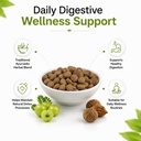 jain-triphala-tablets-1000-count-support-61KV5zcGkFL.jpg