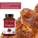 herb-essential-shuddha-guggulu-500-mg-ta-81bVmS7MeML.jpg