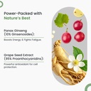 neuherbs-daily-multivitamin-10-tablets-t-71y1-48kV2L.jpg