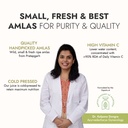 kapiva-wild-tulsi-giloy-1l-kapiva-wild-a-71G5W54fhOL.jpg