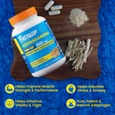 fast-up-500mg-ksm-66-ashwagandha-world-s-71-dmhZtSzL.jpg