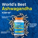 fast-up-500mg-ksm-66-ashwagandha-world-s-71jjbCszZjL.jpg