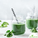 shudh-online-spirulina-powder-organic-20-71PWHoutpgL.jpg