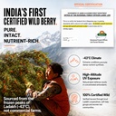 biosash-himalayan-sea-buckthorn-pulp-con-818xLn3CJML.jpg