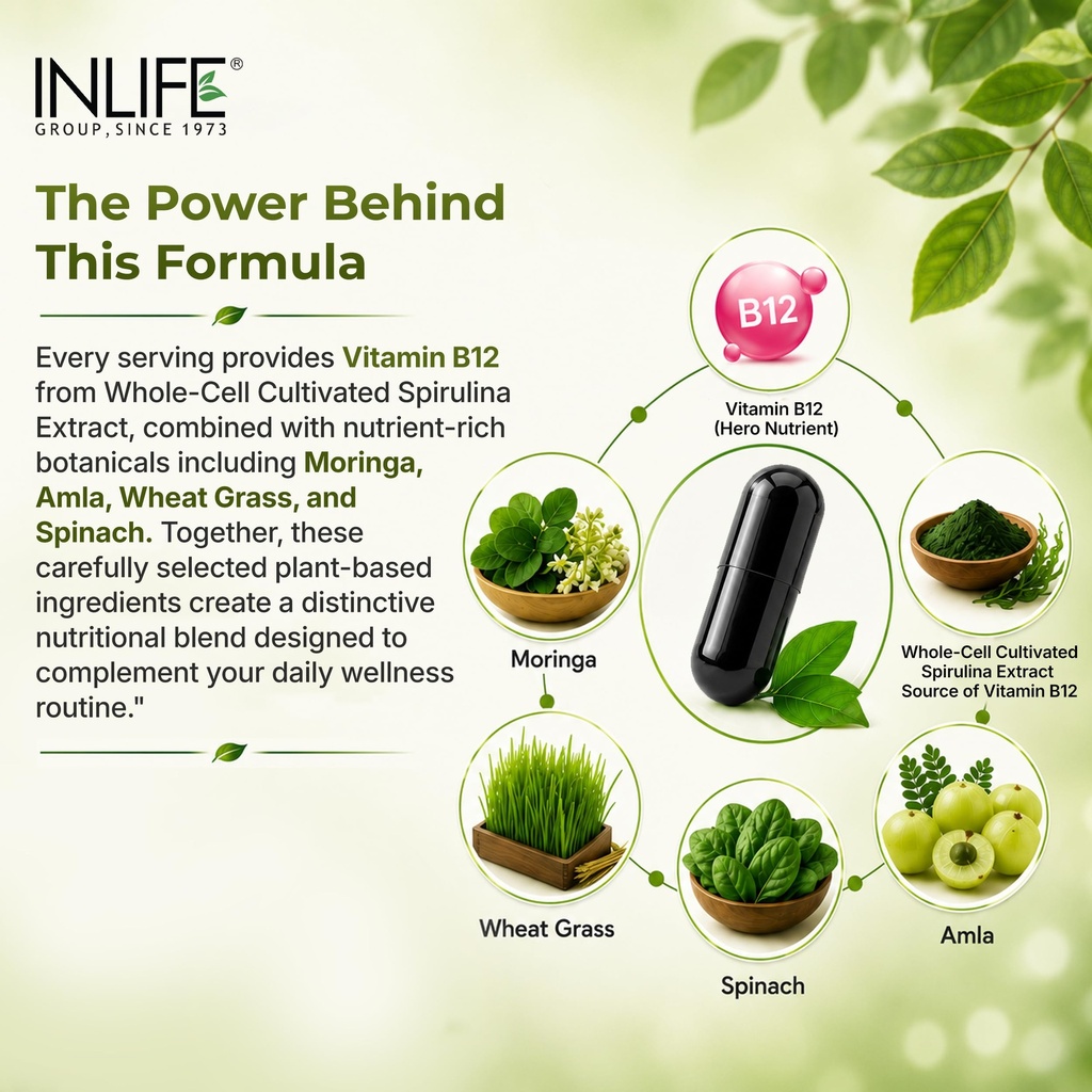 inlife-plant-based-vitamin-b12-supplemen-81Ms1QWih8L.jpg