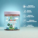 pure-nutrition-multivitamin-kids-gummies-71PYtoKoLtL.jpg