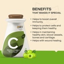 myfitfuel-natural-vitamin-c-with-zinc-fr-61ojkvnF-FL.jpg