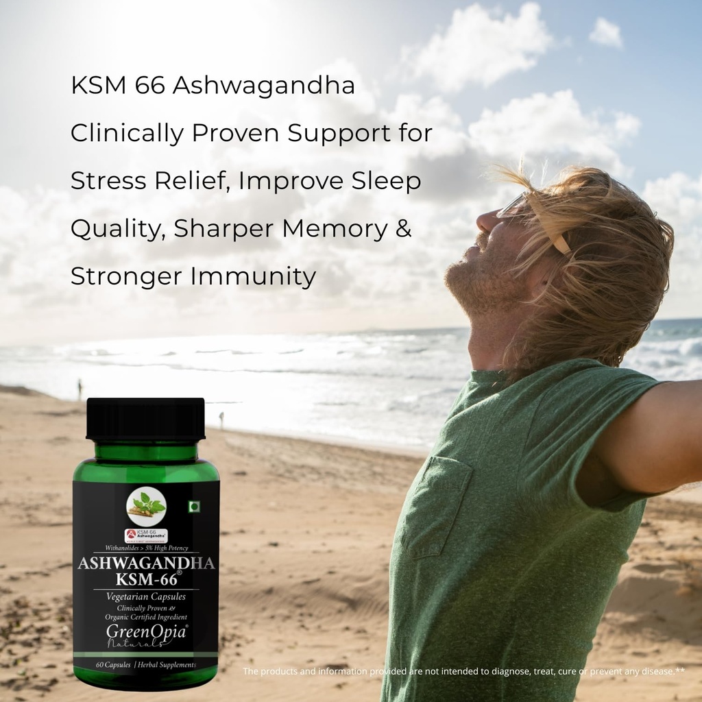 ashwagandha-ksm66-iron-folic-acid-tablet-71J7kXLMWcL.jpg