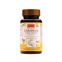 ayurleaf-herbals-gokshura-tribulus-500mg-71-j4MbyWwL.jpg