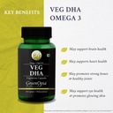 tocotrienols-flaxseed-oil-veg-dha-wellne-61nRDEu2wTL.jpg